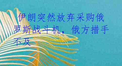  伊朗突然放弃采购俄罗斯战斗机，俄方措手不及 