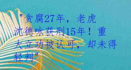  "贪腐27年，老虎沈德咏获刑15年！重大立功被认可，却未得轻判" 