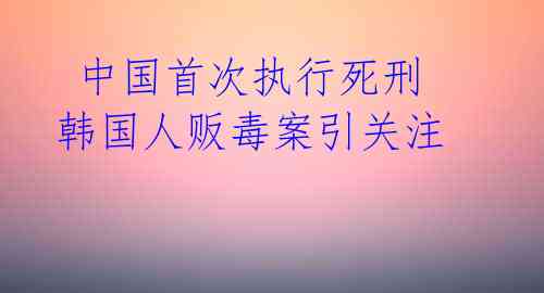 中国首次执行死刑 韩国人贩毒案引关注