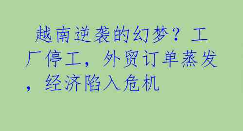 越南逆袭的幻梦?工厂停工,外贸订单蒸发,经济陷入危机