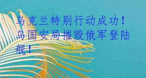 乌克兰特别行动成功!乌国安局摧毁俄军登陆舰!