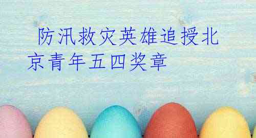 防汛救灾英雄追授北京青年五四奖章