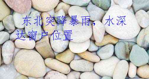 东北突降暴雨,水深达窗户位置