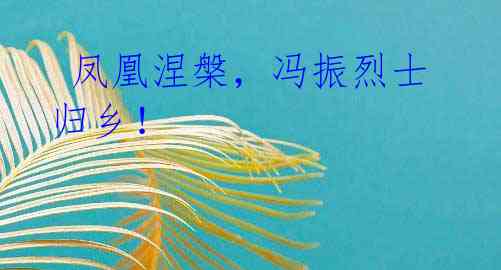 凤凰涅槃,冯振烈士归乡!