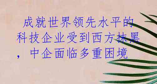  成就世界领先水平的科技企业受到西方抹黑，中企面临多重困境 