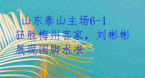  山东泰山主场6-1狂胜梅州客家，刘彬彬展现国脚水准 