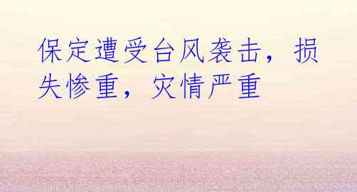 保定遭受台风袭击,损失惨重,灾情严重