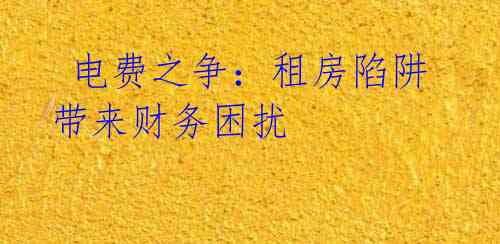 电费之争:租房陷阱带来财务困扰
