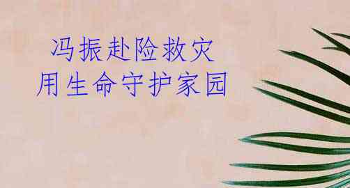 冯振赴险救灾 用生命守护家园