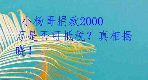  小杨哥捐款2000万是否可抵税？真相揭晓！ 