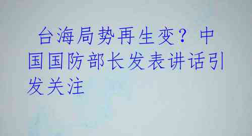 台海局势再生变?中国国防部长发表讲话引发关注