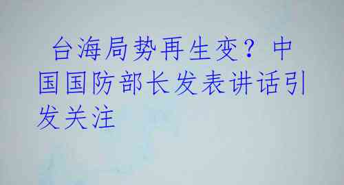  台海局势再生变？中国国防部长发表讲话引发关注 