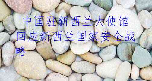 中国驻新西兰大使馆回应新西兰国家安全战略