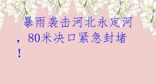 暴雨袭击河北永定河,80米决口紧急封堵!
