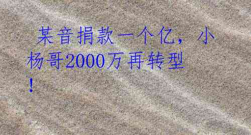  某音捐款一个亿，小杨哥2000万再转型！