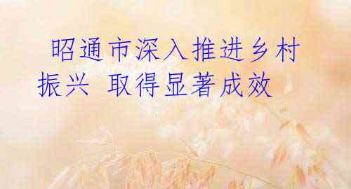 昭通市深入推进乡村振兴 取得显著成效