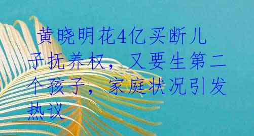 黄晓明花4亿买断儿子抚养权,又要生第二个孩子,家庭状况引发热议