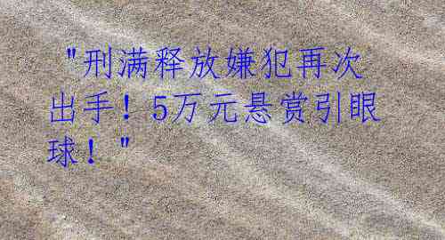 "刑满释放嫌犯再次出手!5万元悬赏引眼球!"