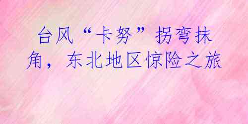 台风“卡努”拐弯抹角,东北地区惊险之旅