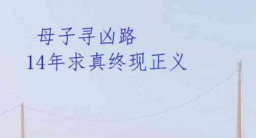 母子寻凶路 14年求真终现正义