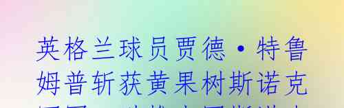 英格兰球员贾德·特鲁姆普斩获黄果树斯诺克冠军,助推中国斯诺克发展。