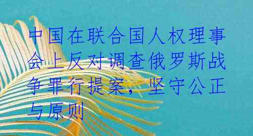 中国在联合国人权理事会上反对调查俄罗斯战争罪行提案,坚守公正与原则
