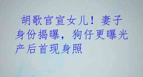 胡歌官宣女儿!妻子身份揭曝,狗仔更曝光产后首现身照