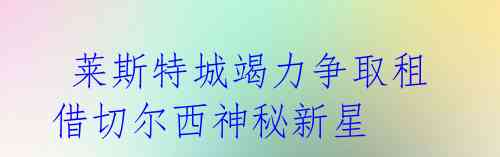 莱斯特城竭力争取租借切尔西神秘新星