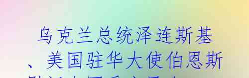 乌克兰总统泽连斯基、美国驻华大使伯恩斯慰问中国受灾民众