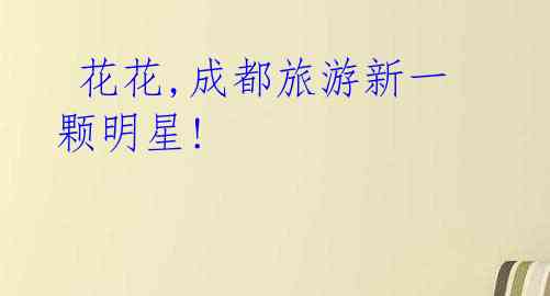 花花,成都旅游新一颗明星!