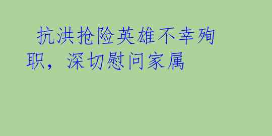 抗洪抢险英雄不幸殉职,深切慰问家属