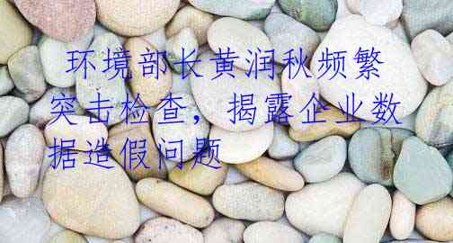 环境部长黄润秋频繁突击检查,揭露企业数据造假问题