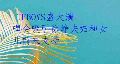  TFBOYS盛大演唱会吸引徐峥夫妇和女儿前来支持 