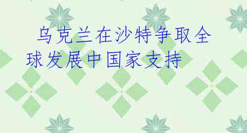 乌克兰在沙特争取全球发展中国家支持