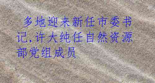 多地迎来新任市委书记,许大纯任自然资源部党组成员