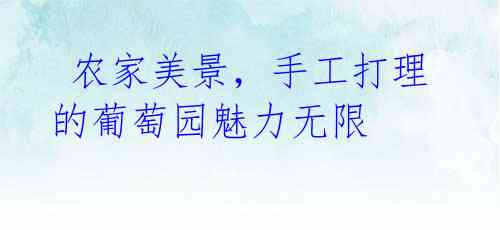 农家美景,手工打理的葡萄园魅力无限