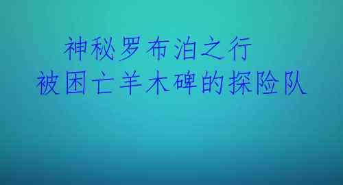 神秘罗布泊之行 被困亡羊木碑的探险队