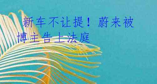 新车不让提!蔚来被博主告上法庭