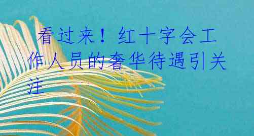 看过来!红十字会工作人员的奢华待遇引关注