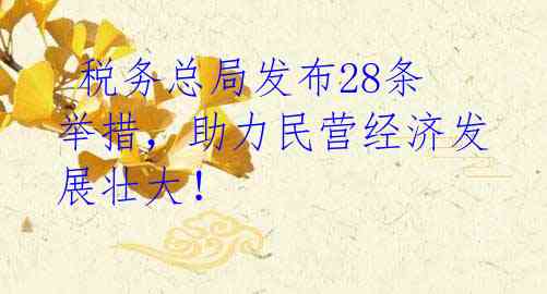 税务总局发布28条举措,助力民营经济发展壮大!