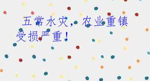 五常水灾,农业重镇受损严重!