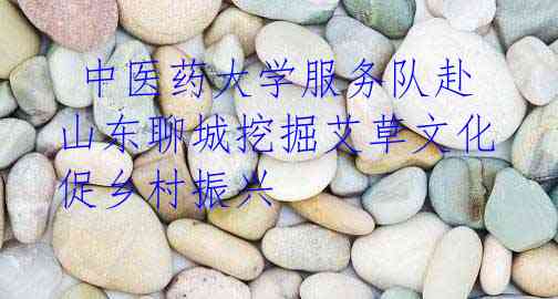 中医药大学服务队赴山东聊城挖掘艾草文化促乡村振兴