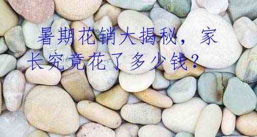 暑期花销大揭秘,家长究竟花了多少钱?