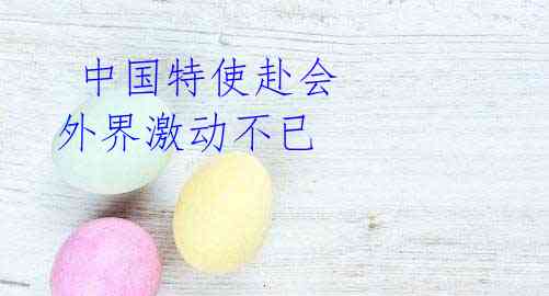 中国特使赴会 外界激动不已