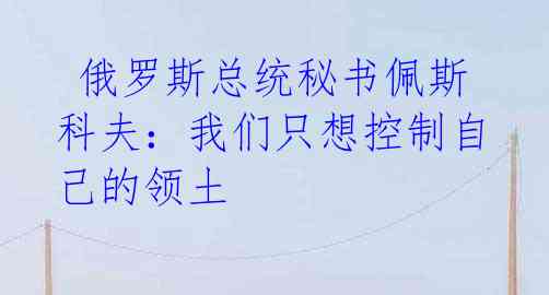 俄罗斯总统秘书佩斯科夫:我们只想控制自己的领土