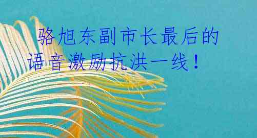 骆旭东副市长最后的语音激励抗洪一线!