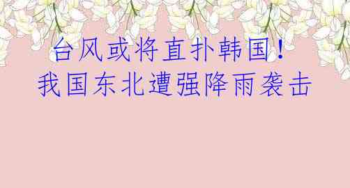 台风或将直扑韩国!我国东北遭强降雨袭击