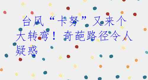 台风“卡努”又来个大转弯!奇葩路径令人疑惑