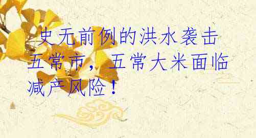 史无前例的洪水袭击五常市,五常大米面临减产风险!