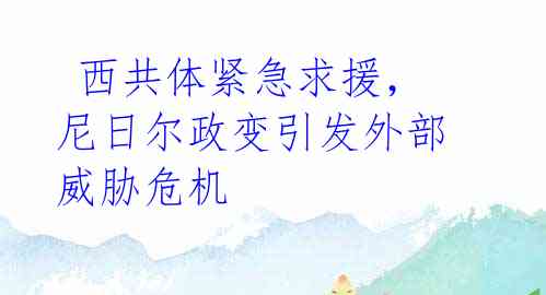 西共体紧急求援,尼日尔政变引发外部威胁危机